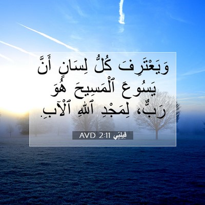 Picture 07 - فِيلِبِّي 2:11 AVD - وَيَعْتَرِفَ كُلُّ - Bible Verse Picture