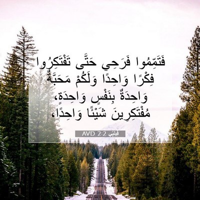Picture 07 - فِيلِبِّي 2:2 AVD - فَتَمِّمُوا فَرَحِي - Bible Verse Picture