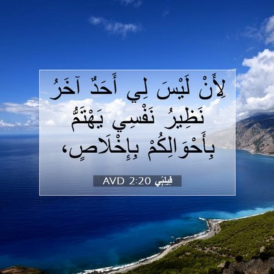 Picture 07 - فِيلِبِّي 2:20 AVD - لِأَنْ لَيْسَ لِي أَحَدٌ - Bible Verse Picture