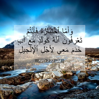 Picture 07 - فِيلِبِّي 2:22 AVD - وَأَمَّا ٱخْتِبَارُهُ - Bible Verse Picture