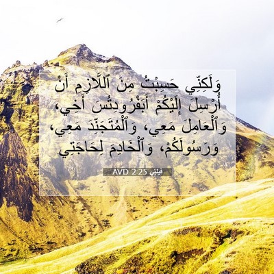 Picture 07 - فِيلِبِّي 2:25 AVD - وَلَكِنِّي حَسِبْتُ مِنَ - Bible Verse Picture
