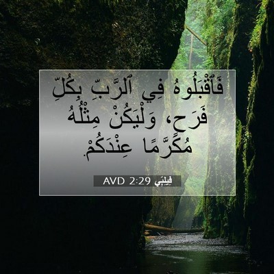 Picture 07 - فِيلِبِّي 2:29 AVD - فَٱقْبَلُوهُ فِي ٱلرَّبِّ - Bible Verse Picture