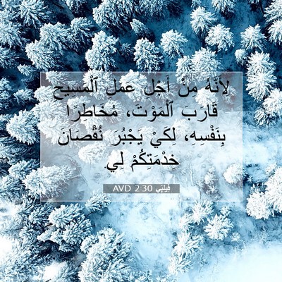 Picture 07 - فِيلِبِّي 2:30 AVD - لِأَنَّهُ مِنْ أَجْلِ - Bible Verse Picture