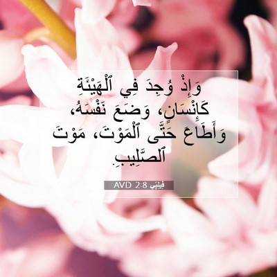 Picture 07 - فِيلِبِّي 2:8 AVD - وَإِذْ وُجِدَ فِي - Bible Verse Picture