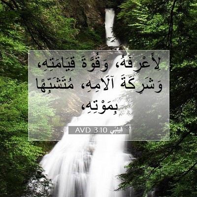 Picture 07 - فِيلِبِّي 3:10 AVD - لِأَعْرِفَهُ، وَقُوَّةَ - Bible Verse Picture