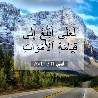 Picture 07 - فِيلِبِّي 3:11 AVD - لَعَلِّي أَبْلُغُ إِلَى - Bible Verse Picture