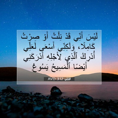 Picture 07 - فِيلِبِّي 3:12 AVD - لَيْسَ أَنِّي قَدْ نِلْتُ - Bible Verse Picture