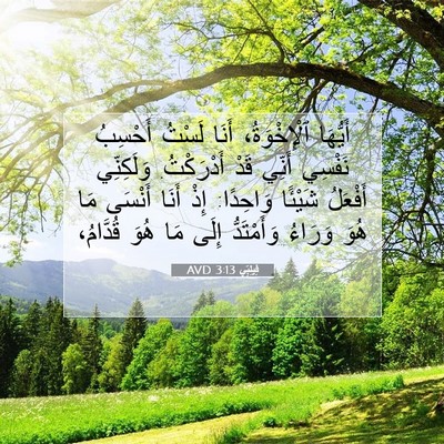 Picture 07 - فِيلِبِّي 3:13 AVD - أَيُّهَا ٱلْإِخْوَةُ، - Bible Verse Picture