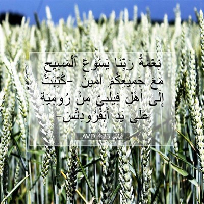 Picture 07 - فِيلِبِّي 4:23 AVD - نِعْمَةُ رَبِّنَا يَسُوعَ - Bible Verse Picture