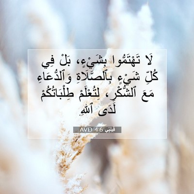 Picture 07 - فِيلِبِّي 4:6 AVD - لَا تَهْتَمُّوا بِشَيْءٍ، - Bible Verse Picture