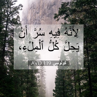 Picture 07 - كُولُوسِي 1:19 AVD - لِأَنَّهُ فِيهِ سُرَّ أَنْ - Bible Verse Picture