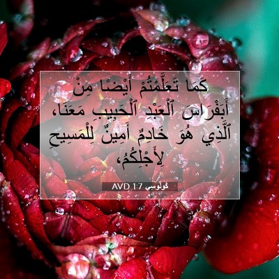 Picture 07 - كُولُوسِي 1:7 AVD - كَمَا تَعَلَّمْتُمْ - Bible Verse Picture