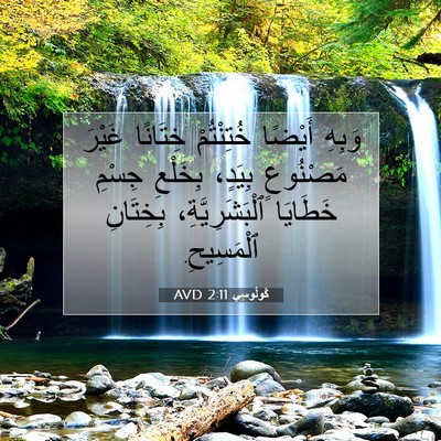 Picture 07 - كُولُوسِي 2:11 AVD - وَبِهِ أَيْضًا خُتِنْتُمْ - Bible Verse Picture