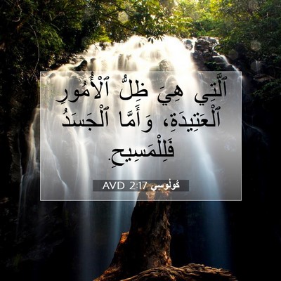 Picture 07 - كُولُوسِي 2:17 AVD - ٱلَّتِي هِيَ ظِلُّ - Bible Verse Picture