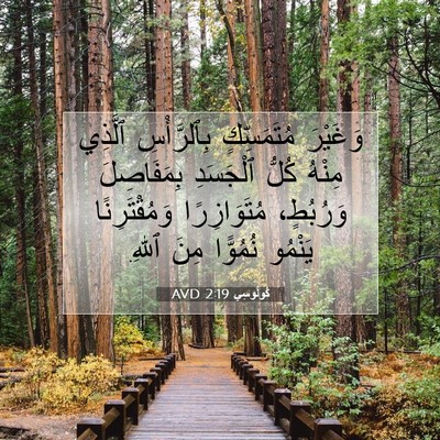 Picture 07 - كُولُوسِي 2:19 AVD - وَغَيْرَ مُتَمَسِّكٍ - Bible Verse Picture