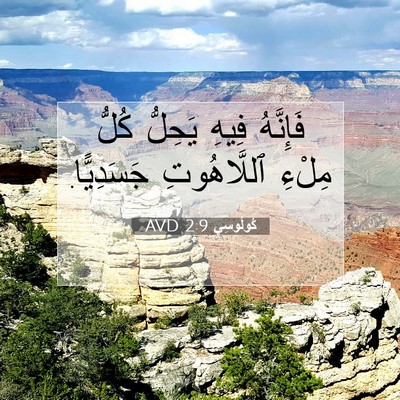 Picture 07 - كُولُوسِي 2:9 AVD - فَإِنَّهُ فِيهِ يَحِلُّ - Bible Verse Picture