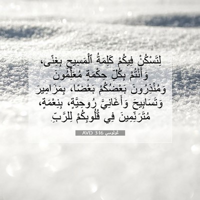 Picture 07 - كُولُوسِي 3:16 AVD - لِتَسْكُنْ فِيكُمْ - Bible Verse Picture