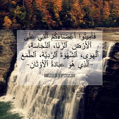 Picture 07 - كُولُوسِي 3:5 AVD - فَأَمِيتُوا أَعْضَاءَكُمُ - Bible Verse Picture