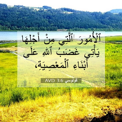Picture 07 - كُولُوسِي 3:6 AVD - ٱلْأُمُورَ ٱلَّتِي مِنْ - Bible Verse Picture