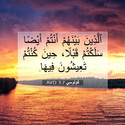 Picture 07 - كُولُوسِي 3:7 AVD - ٱلَّذِينَ بَيْنَهُمْ - Bible Verse Picture
