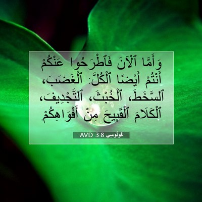 Picture 07 - كُولُوسِي 3:8 AVD - وَأَمَّا ٱلْآنَ - Bible Verse Picture