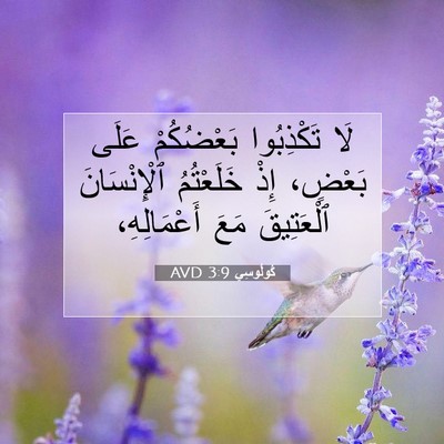 Picture 07 - كُولُوسِي 3:9 AVD - لَا تَكْذِبُوا بَعْضُكُمْ - Bible Verse Picture