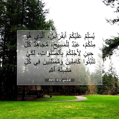 Picture 07 - كُولُوسِي 4:12 AVD - يُسَلِّمُ عَلَيْكُمْ - Bible Verse Picture
