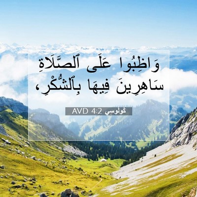 Picture 07 - كُولُوسِي 4:2 AVD - وَاظِبُوا عَلَى - Bible Verse Picture