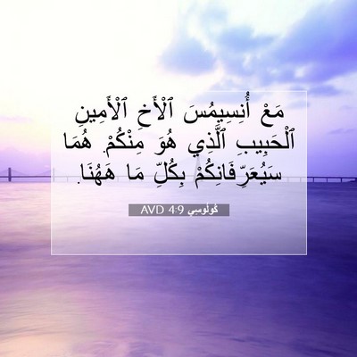 Picture 07 - كُولُوسِي 4:9 AVD - مَعْ أُنِسِيمُسَ ٱلْأَخِ - Bible Verse Picture