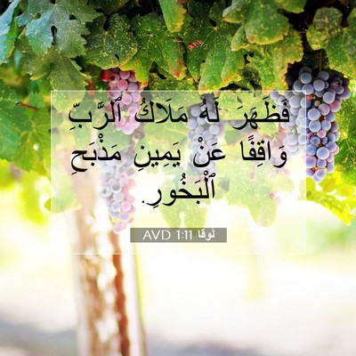 Picture 07 - لُوقا 1:11 AVD - فَظَهَرَ لَهُ مَلَاكُ - Bible Verse Picture