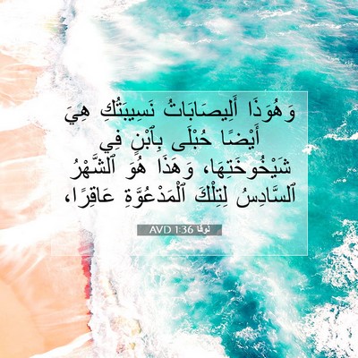Picture 07 - لُوقا 1:36 AVD - وَهُوَذَا أَلِيصَابَاتُ - Bible Verse Picture