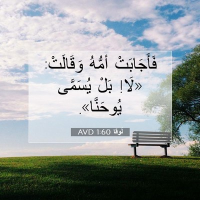 Picture 07 - لُوقا 1:60 AVD - فَأَجَابَتْ أمُّهُ - Bible Verse Picture
