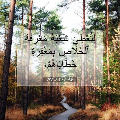 Picture 07 - لُوقا 1:77 AVD - لِتُعْطِيَ شَعْبَهُ - Bible Verse Picture