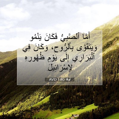 Picture 07 - لُوقا 1:80 AVD - أَمَّا ٱلصَّبِيُّ فَكَانَ - Bible Verse Picture
