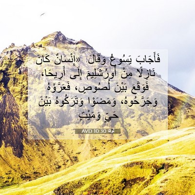 Picture 07 - لُوقا 10:30 AVD - فَأَجَابَ يَسُوعُ وَقَالَ: - Bible Verse Picture