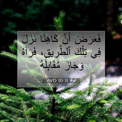 Picture 07 - لُوقا 10:31 AVD - فَعَرَضَ أَنَّ كَاهِنًا - Bible Verse Picture