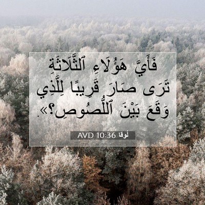 Picture 07 - لُوقا 10:36 AVD - فَأَيَّ هَؤُلَاءِ - Bible Verse Picture
