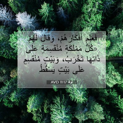 Picture 07 - لُوقا 11:17 AVD - فَعَلِمَ أَفْكَارَهُمْ، - Bible Verse Picture