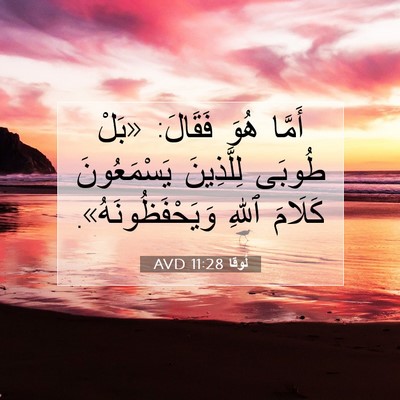 Picture 07 - لُوقا 11:28 AVD - أَمَّا هُوَ فَقَالَ: «بَلْ - Bible Verse Picture