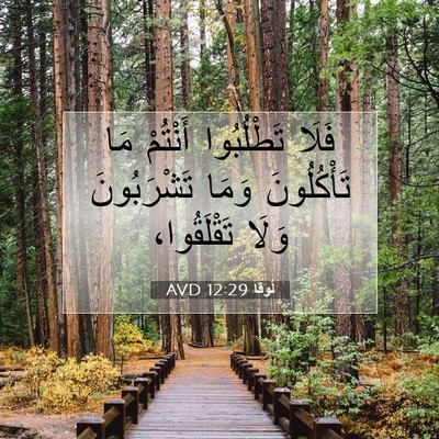 Picture 07 - لُوقا 12:29 AVD - فَلَا تَطْلُبُوا أَنْتُمْ - Bible Verse Picture