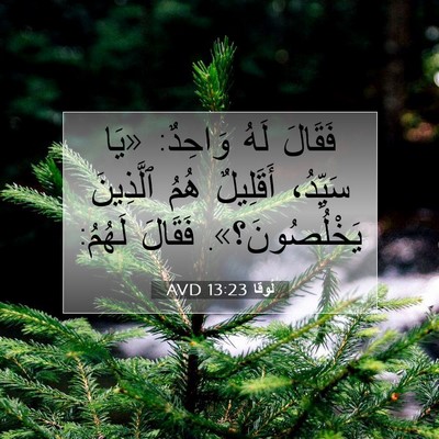 Picture 07 - لُوقا 13:23 AVD - فَقَالَ لَهُ وَاحِدٌ: «يَا - Bible Verse Picture