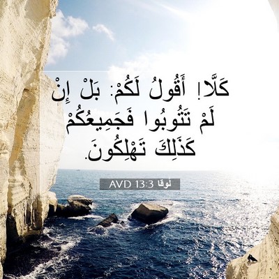 Picture 07 - لُوقا 13:3 AVD - كَلَّا! أَقُولُ لَكُمْ: - Bible Verse Picture