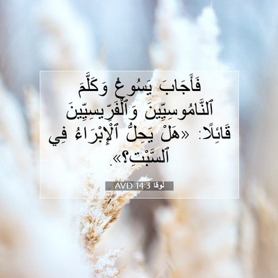 Picture 07 - لُوقا 14:3 AVD - فَأَجَابَ يَسُوعُ - Bible Verse Picture
