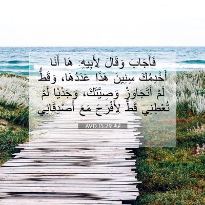 Picture 07 - لُوقا 15:29 AVD - فَأَجَابَ وَقَالَ - Bible Verse Picture