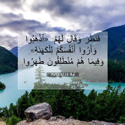 Picture 07 - لُوقا 17:14 AVD - فَنَظَرَ وَقَالَ لَهُمُ: - Bible Verse Picture