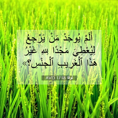 Picture 07 - لُوقا 17:18 AVD - أَلَمْ يُوجَدْ مَنْ - Bible Verse Picture
