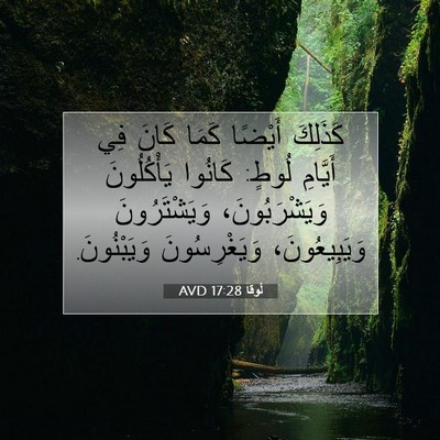 Picture 07 - لُوقا 17:28 AVD - كَذَلِكَ أَيْضًا كَمَا - Bible Verse Picture