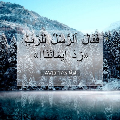 Picture 07 - لُوقا 17:5 AVD - فَقَالَ ٱلرُّسُلُ - Bible Verse Picture