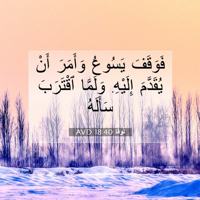 Picture 07 - لُوقا 18:40 AVD - فَوَقَفَ يَسُوعُ وَأَمَرَ - Bible Verse Picture