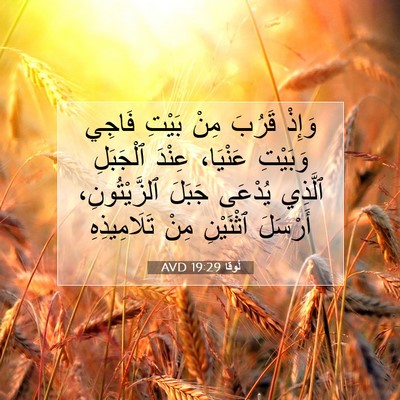 Picture 07 - لُوقا 19:29 AVD - وَإِذْ قَرُبَ مِنْ بَيْتِ - Bible Verse Picture